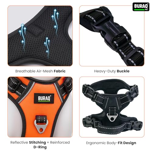 Image of Buraq Pets No Pull Dog Harness | Soft Padded for Small to Large Dogs