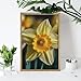 5D Diamond Painting Kits for Adult, Daffodil Flower Diamond Art Kits for Beginners Fun DIY Crafts Round Diamond Art Canvas Home Wall Decor 8