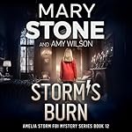 Cover of Storm's Burn