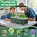 Hydroponics Growing System Kit Indoor: Aeroponics Herb Garden Kit 15 Pods, 3 Grow Modes, 24H Timer Hydroponic Gardening System, Quiet Smart Water Pump Hydroponic Planter for Home Kitchen Office