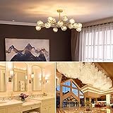 AHEVO 40W G9 Halogen Light Bulb Warm White 2700K,230V,Pack of 10 - Image 6