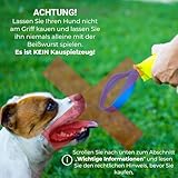 Bull Fit Beisswurst für Hunde, 30 cm mit Handschlaufe - Sehr Robustes Hundespielzeug zum Training, Tauziehen und Zerrspiele mit Hund - Aus hochwertigem Feuerwehrschlauch handgefertigt, orange