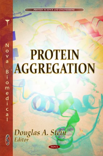 Protein Aggregation view 2