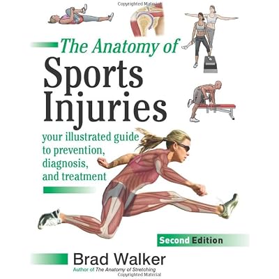 The Anatomy of Sports Injuries
