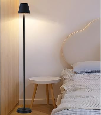 Modern Floor Lamp with Touch Switch Bedroom Vertical Lighting Acrylic Lampshade Black Iron Living Room Standard Lamp Reading Floor Lamps Included LED