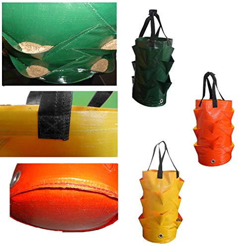 Rotors Plastic Strawberry Planting Bags 3 Gallons Strawberry Grow Bags, Multi-Mouth Container Bags, Vegetable Planter Bags Planting Growing Bags With Handles,Foldable Durable Pouch Root Plant Pot #TOP4