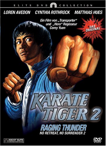 Preisvergleich Produktbild Karate Tiger 2