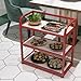 Hairdresser Trolley, 3 Tiers Kitchen Utility Cart,Beauty Salon Trolley,Heavy Duty Industrial Serving Cart,for Kitchen,Beauty,Restaurant,Bar(Red-c)