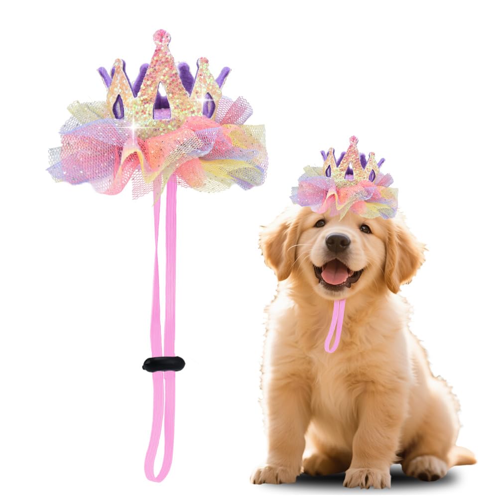 Chapeau d'anniversaire pour chien et chat lors des fêtes de famille