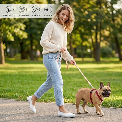 Image of Buyrew Women's Ballet Flats Pointed Toe Dress Shoes Mesh Slip On Loafers with Arch Support for Office and Casual