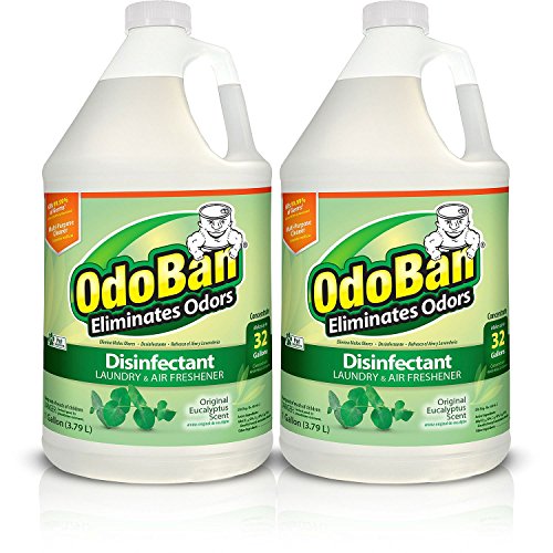 OdoBan Concentrate Disinfectant Laundry and Air Freshener, Eucalyptus Scent, 2 Gallons