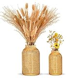 Atemberaubendes Dekoratives Blumenvase: Wenn Ihr Regal leer aussieht, sind diese Vasen in Ihren Wohndekorationsplänen ein Hit. Egal, ob Sie sie alleine stellen oder sie verwenden, um frische Sonnenblumen zu halten, rustikal und doch Vintage und mühelos Kunstwerke für Heimdekorationen.
