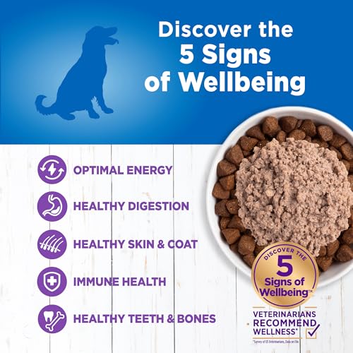Image of Wellness Simple Limited Ingredient Diet Adult Canned Wet Dog Food, Wholesome Grains, Natural, Turkey and Potato Recipe, 12.5 oz, Pack of 12 Cans
