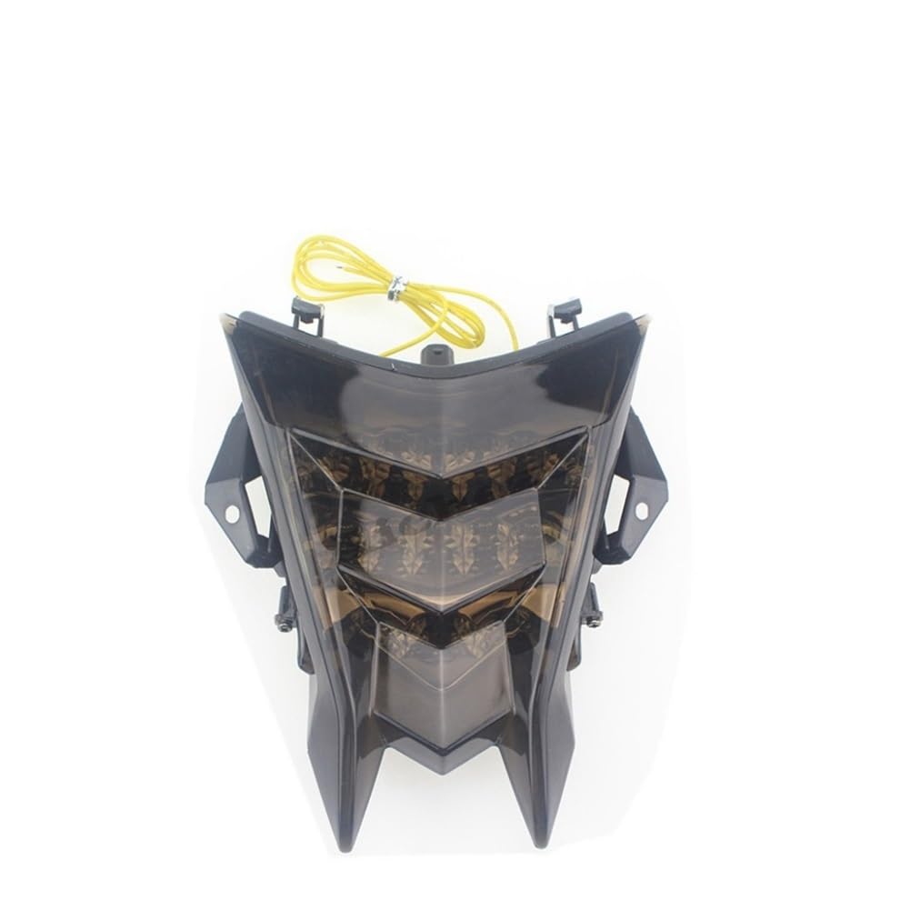 DAGMARA Fanale Posteriore Freno Moto Accessori per moto 1 x Indicatore di direzione a LED, luce stop, posteriore per S1000R HP4 S1000RR 2009-2020