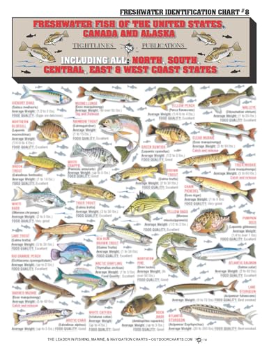 Freshwater Fish Identification Chart #8 - Waterproof Quick Reference Fishing Guide - 50+ Fish Species ID - (US, Canada, and Alaska) - Double-Sided & Easy to Read - Great Gift for Beginners