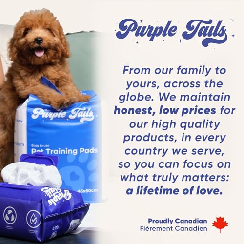 Image of Canada Cat Litter - Natural Bentonite Cat Litter with Activated Carbon-Odour Control and Highly Absorbent Litter for Cat (Pack of 1, Unscented)