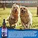Natural Yeast Infection Treatment for Dogs | Probiotic-Powered Drops with 8-Herbal Blend | Supports Skin, Ears, Allergy Relief | Dog Yeast Infection Treatment Oral Supplement | Bacon-Flavored-2PC