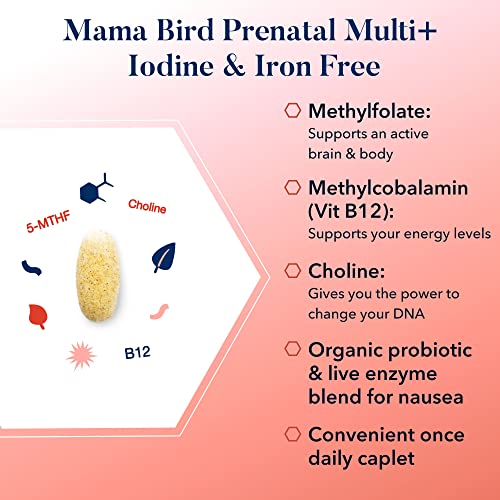 Mama Bird Prenatal Vitamin Iron Free, No Iron Or Iodine, Methylfolate (Folic Acid For Pregnant Women), Natural Organic Herbal Blend, Vegan, Includes Healthy Pregnancy Secrets Guide, Once Daily, 30 Ct #TOP3