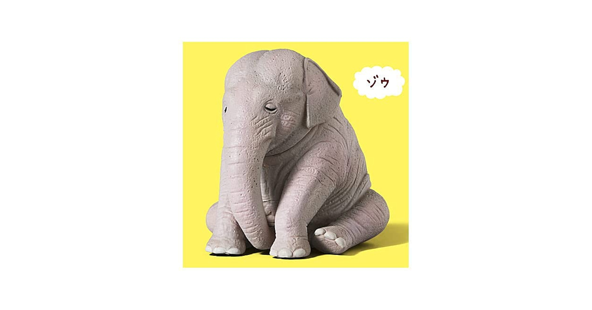 Amazon.co.jp: パンダの穴 ZOO ZOO ZOO ひまなの寝 Special
