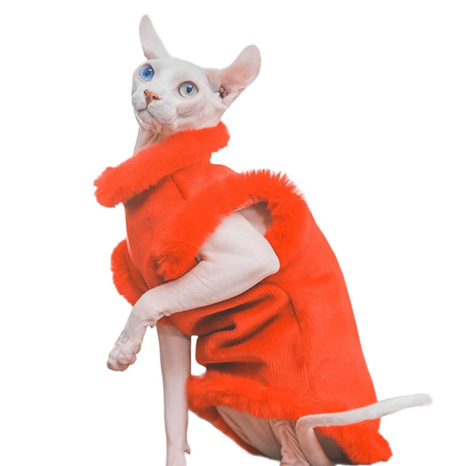 Pull à col de tortue pour chat sans cheveux et vêtement Devon Rex