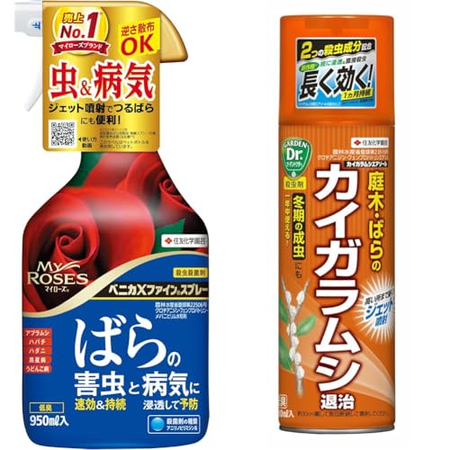 yZbgzZFw| EEۍ xjJXt@CXv[ 950ml o KN  aC + E  JCKVGA][ 480ml   JCKV