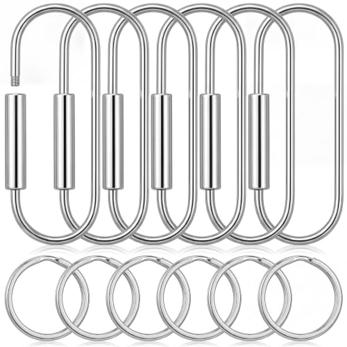 Image of WILLBOND Brass Carabiner Key Ring Locking Screw Carabiner Clips Round Key Rings Keychain Kit for Handbags Purse Bag Charm