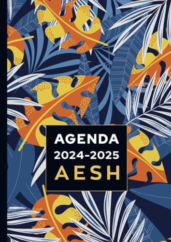 Agenda de bord 2024/2025 - AESH: Carnet de bord et carnet de notes A4