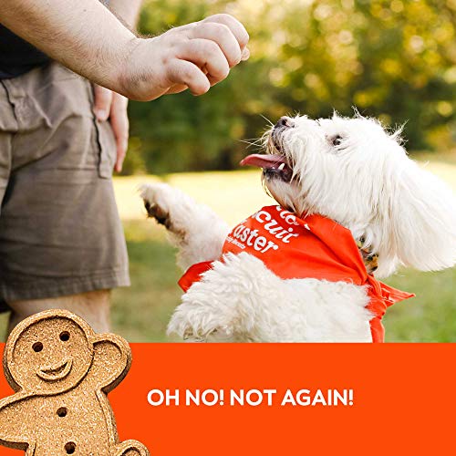 Buddy Biscuit Softies 5 oz Pouch, Grain-Free Soft & Chewy, Natural Peanut Butter Flavor Dog Treats, Oven Baked in the USA - Thumbnail 7