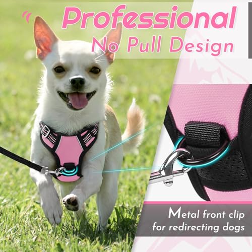 Image of Eagloo Dog Harness for Small Dogs, No Pull Pet Vest with 2 Leash Clips