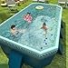 Foldable Non-Inflatable Swimming Pool, Portable Hard Plastic Shell Kids and Adults Pool, Dog Pool for Outdoor, Backyard and Garden, Easy Setup for Fun Water Play, 116