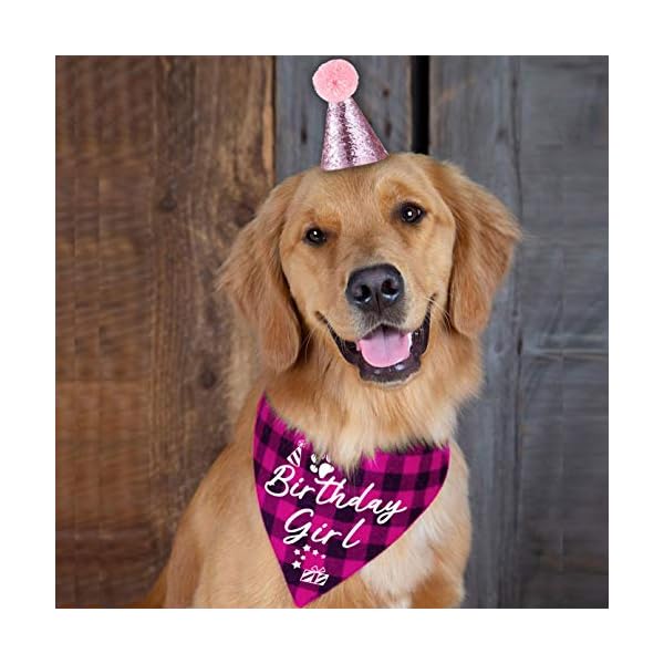 Yrovwenq family kitchen classic pink plaid pet puppy dog bandana with dog birthday party hat accessories, girl dog birthday bandana scarf bibs for pet birthday outfit party supplies set - image 4