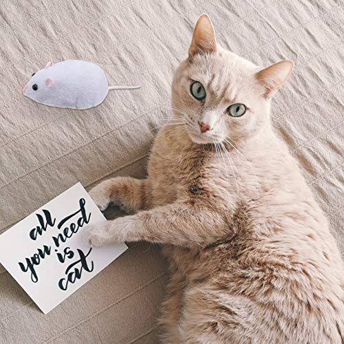 Kisangel 1 conjunto de mouse eletrônico com truques de queijo, brinquedos de perseguição, brinquedos