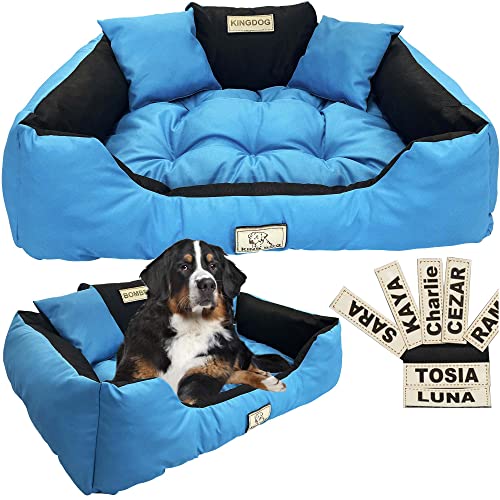 EDANTI Cuccia Personalizzabile per Cani e Gatti, Divano Con Nome L, XL, per Taglia Media e Piccola (100 x 75 cm, Blu)