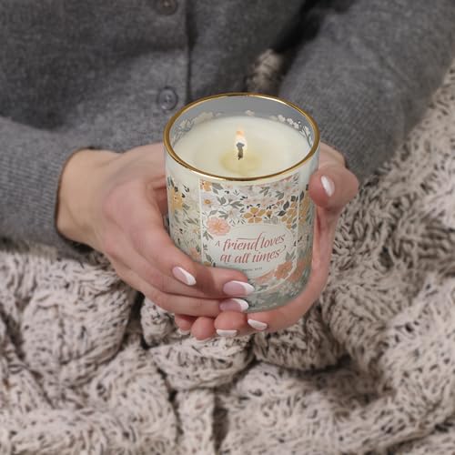 Image of Christian Art Gifts Grapefruit Grove Scented Candle: Proverbs 17:17