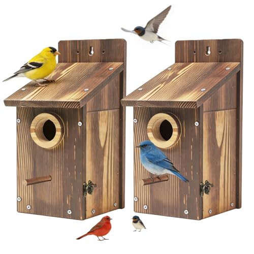 Zxweqr Natural Wood Birdhouse for Outside Wooden Nesting Box with Circular Entrance Hole and Perch Blue Bird Houses for Outdoors with Clear View Panel & Predator Guard for Blue Robin Wren Swallow