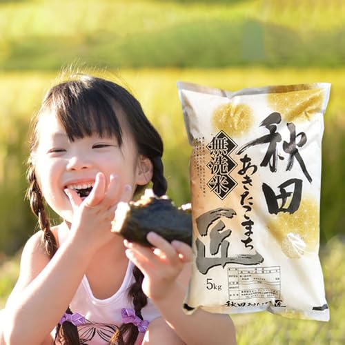 [無洗米][令和7年産 新米予約][定期便2ヶ月]秋田県産 あきたこまち 10kg (5kg×2袋) ×2回 10キロ お米 新米