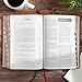 CSB Men's Daily Bible, Brown Genuine Leather, Indexed, Black Letter, Reading Plan, Articles, Callouts, Study Tools, Easy-to-Read Bible Serif Type