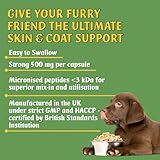 Animal Active Marine Collagen for Dogs, Supports Dry and Itchy Skin, Shiny Coat & Healthy Gums, Premium Micronised Collagen Peptides, Skin Health Dog Supplement, 120 x 500mg Open & Sprinkle Capsules - Image 5