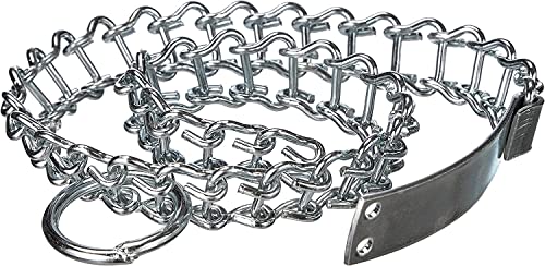 CG94 Collier pour chiens de 35 cm - Léger - en fer nickelé avec maille à échelle anneau et plaque d'identification Cover