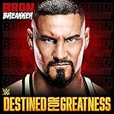 WWE LLC