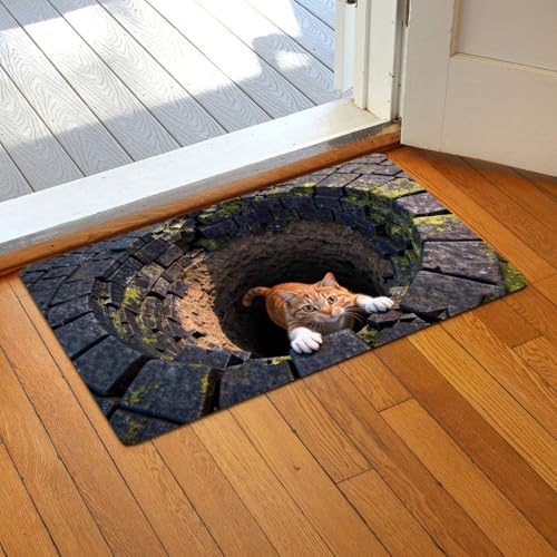 Alfombra 3D decorativa de 40 x 60 cm para entrada con base antideslizante 6