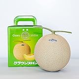 メロンショップマエシ