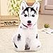 GLITZFAS Kreatywna poduszka ozdobna, 3D, imitacja kota, poduszka dekoracyjna, urocze koty Corgi Husky przytulnie miękka poduszka ozdobna (Husky)