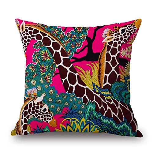Home Page - Paul - Cosy Home Interiors