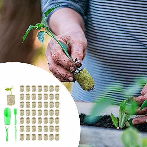 YANRU 50 pcs,Steinwolle Plugs,Rockwool Cube,Hydroponischen Block-GemüSe,Steinwollpad FüR Den Pflanzenanbau,Mit 4 StüCk SäMlings-Pflanzwerkzeugen,Anbau Von SäMlingen,Blumen,Pflanzen,Garten (50)