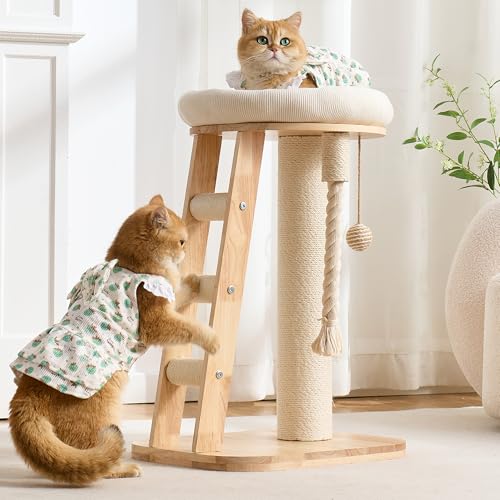 Torre para gatos moderna pequeña con rascador blanco miniatura 4