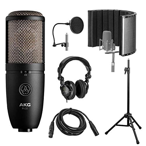 Akg Acoustics P420 Large Diaphragm Dual-Capsule True Condenser Microphone With Switchable Polar Patterns, 20Hz-20Khz Frequency Response - Bundle With Vocal Recording Setup Kit #TOP23