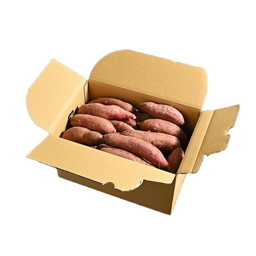 生芋 10kg S〜Lサイズ混合 1箱 いも長 | さつまいも いも 生いも 紅はるか 国産 ※離島への配送不可