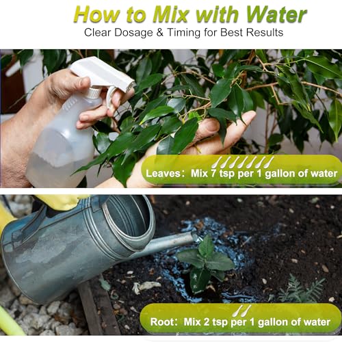 Fertilizante Líquido Money Tree para Plantas 300 ml miniatura 3