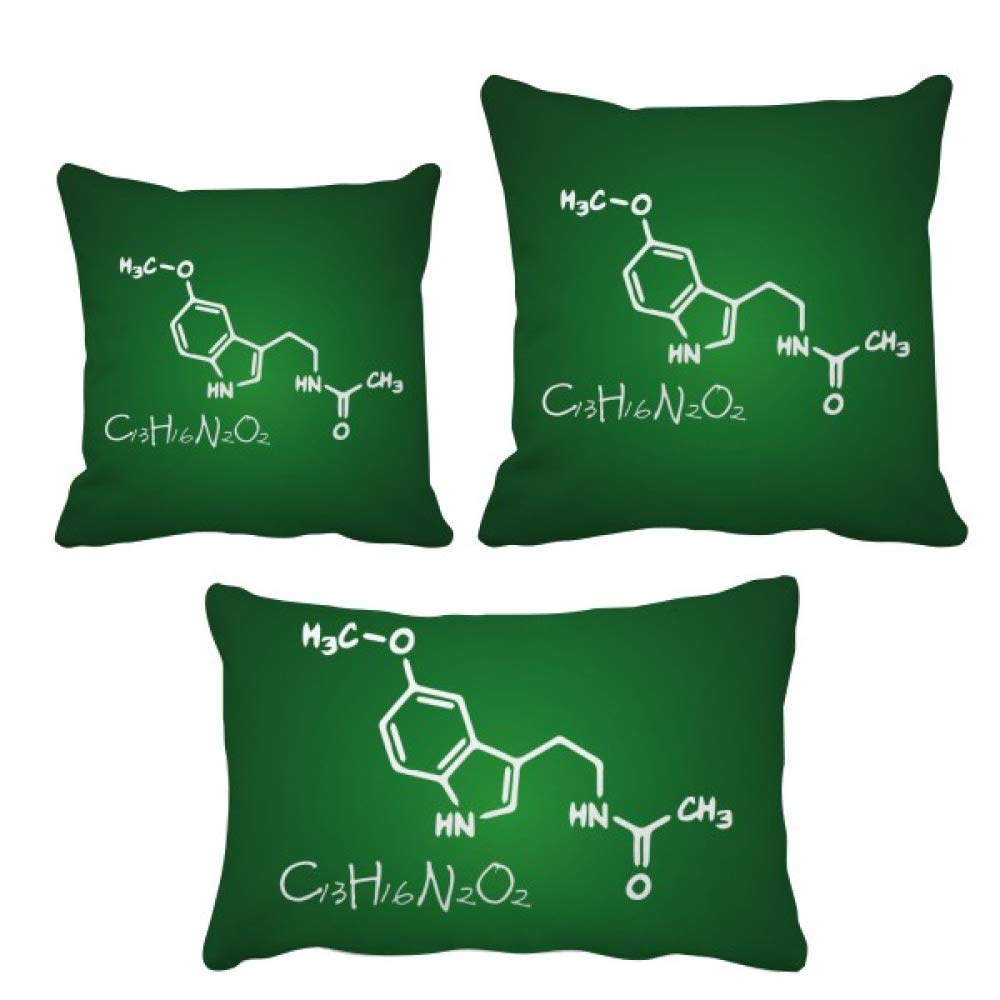 Coussin de décoration DIYthinker élégant pour un intérieur raffiné